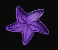 Estrella de Mar Cortador de Galletas