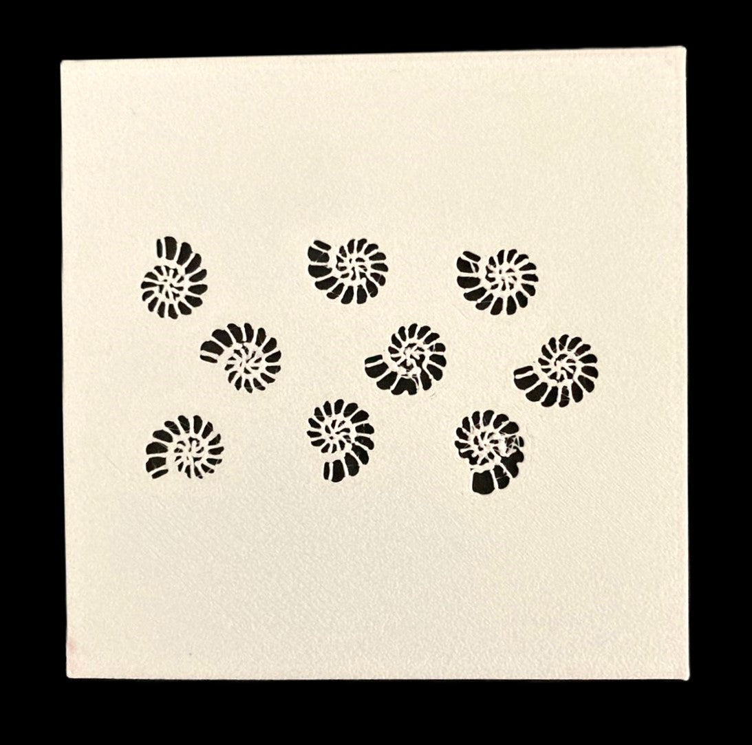 Stencil Conchas