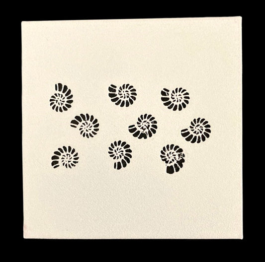 Stencil Conchas